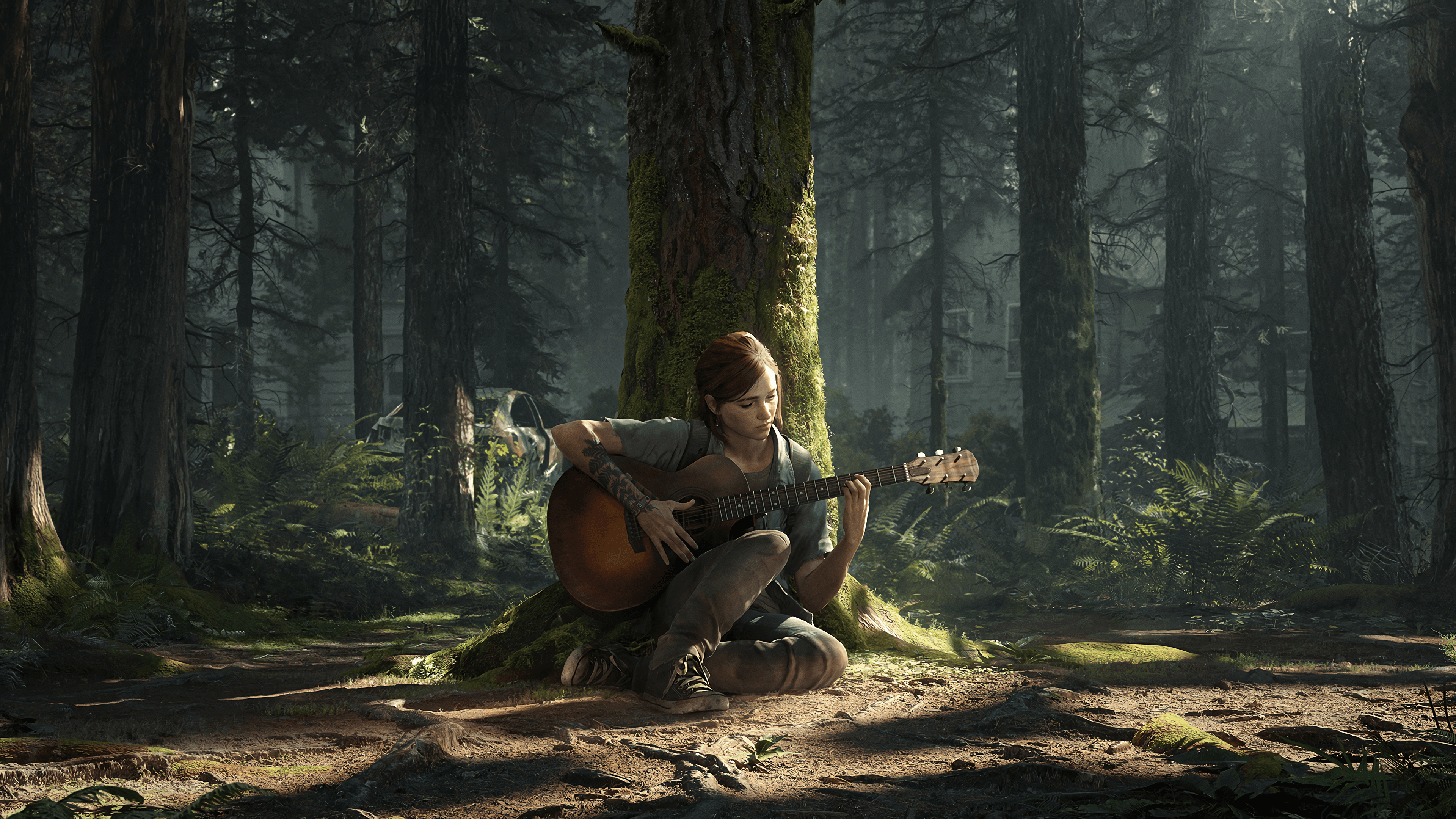 Post The Last of Us Series Image